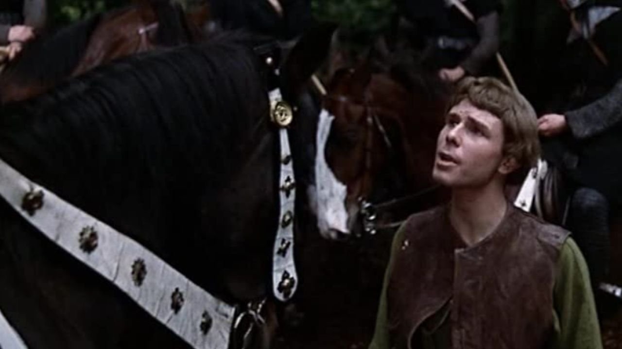 Robin Hood, der rote Rächer