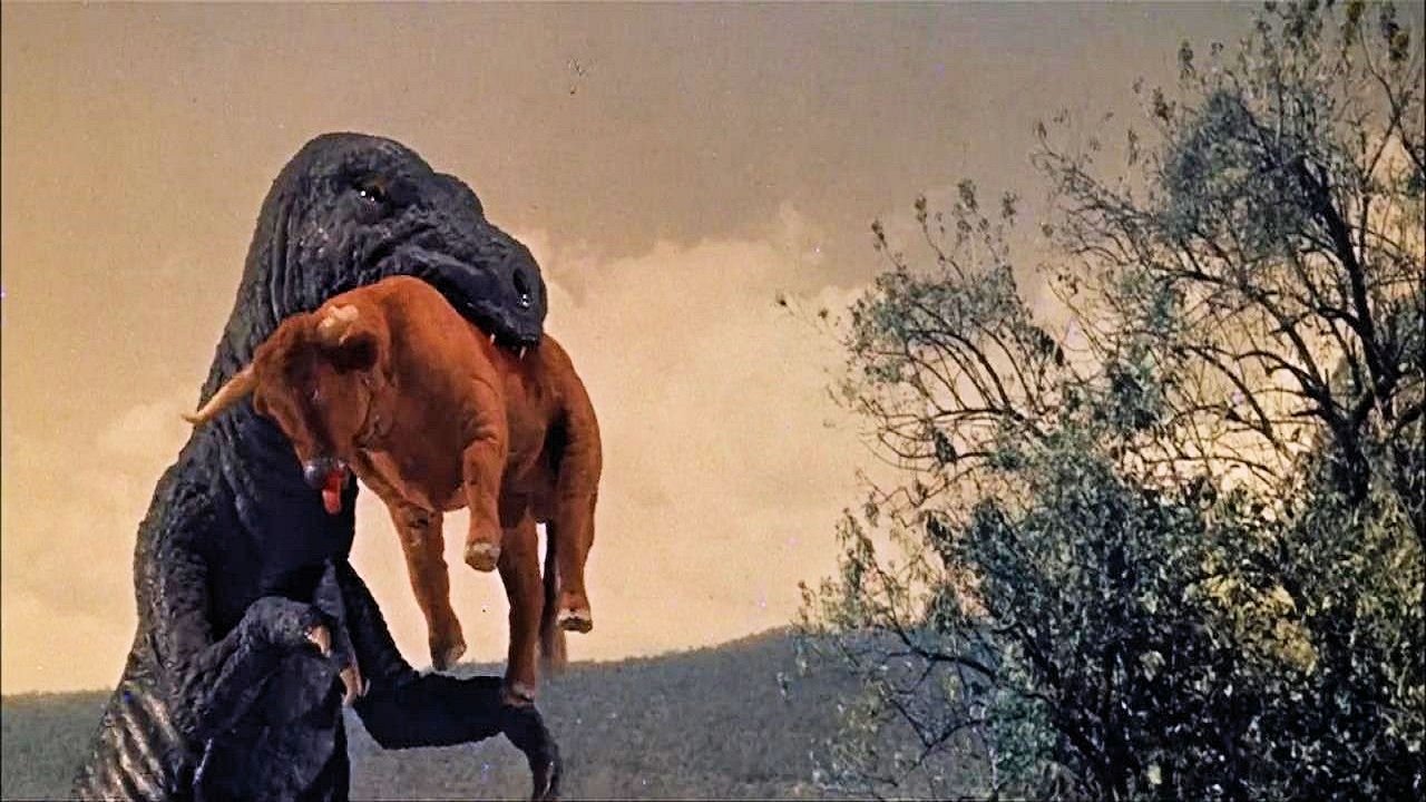 Der Fluch vom Monte Bravo