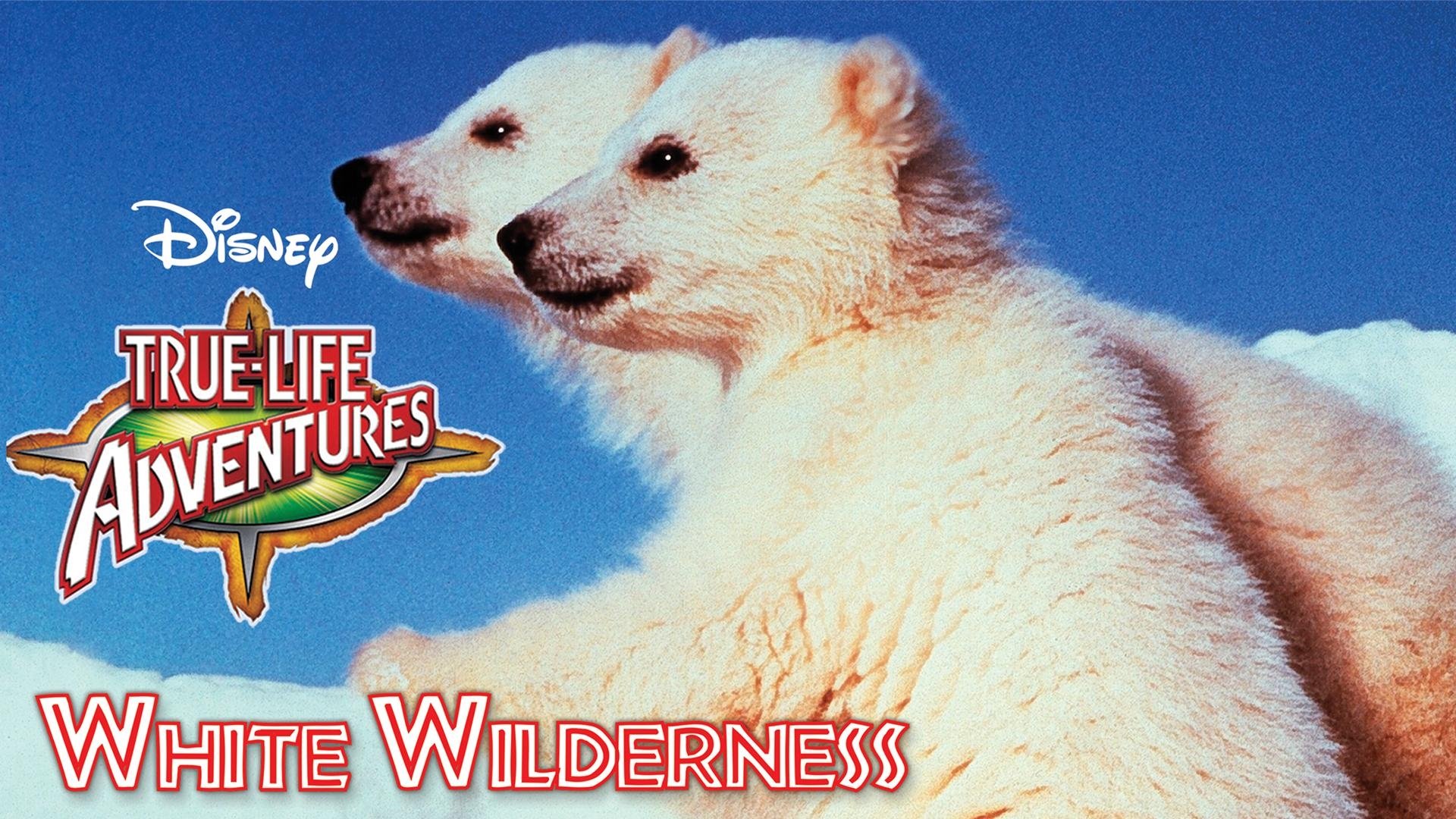 Weiße Wildnis