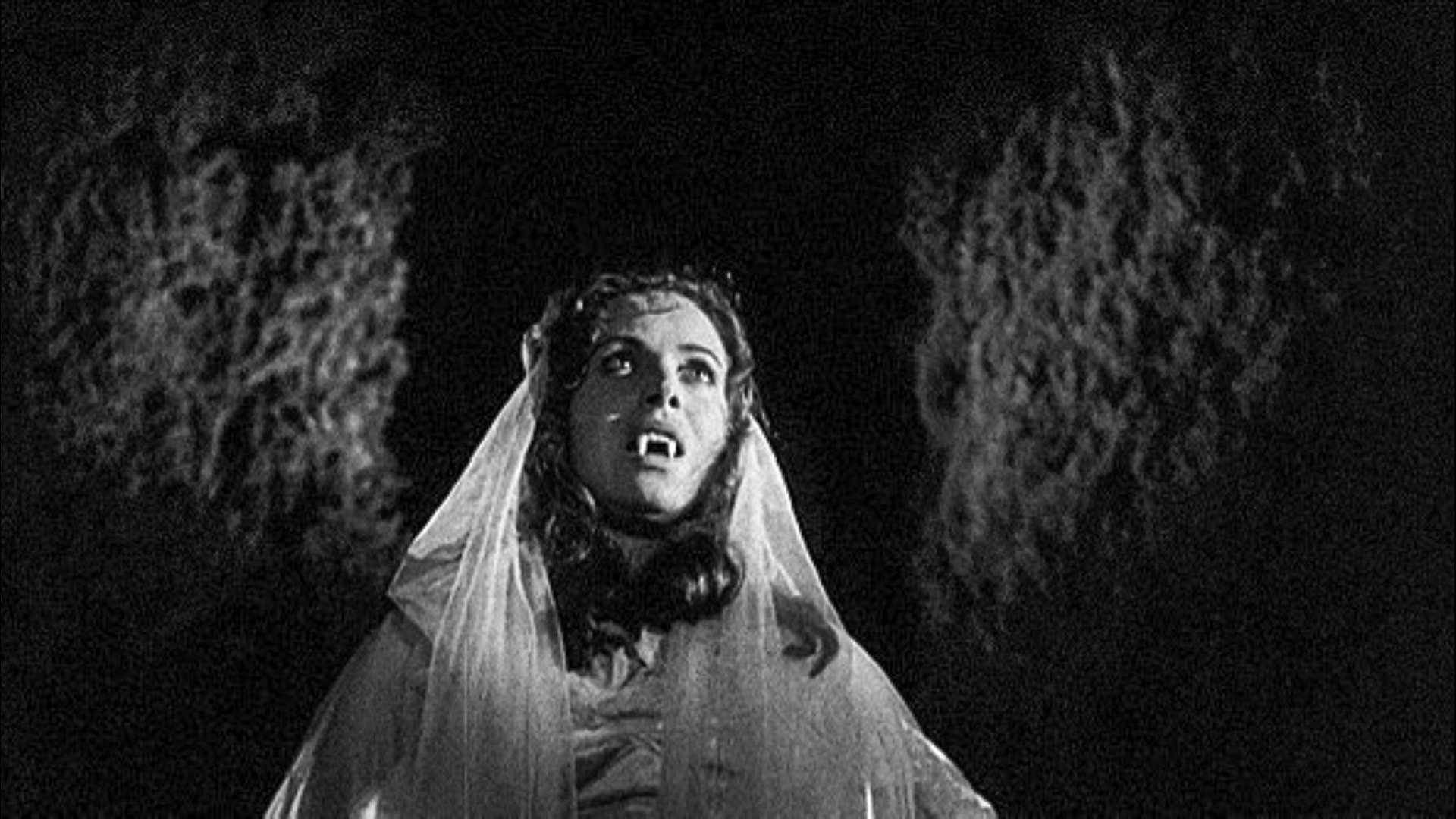 Die Geliebte des Vampirs