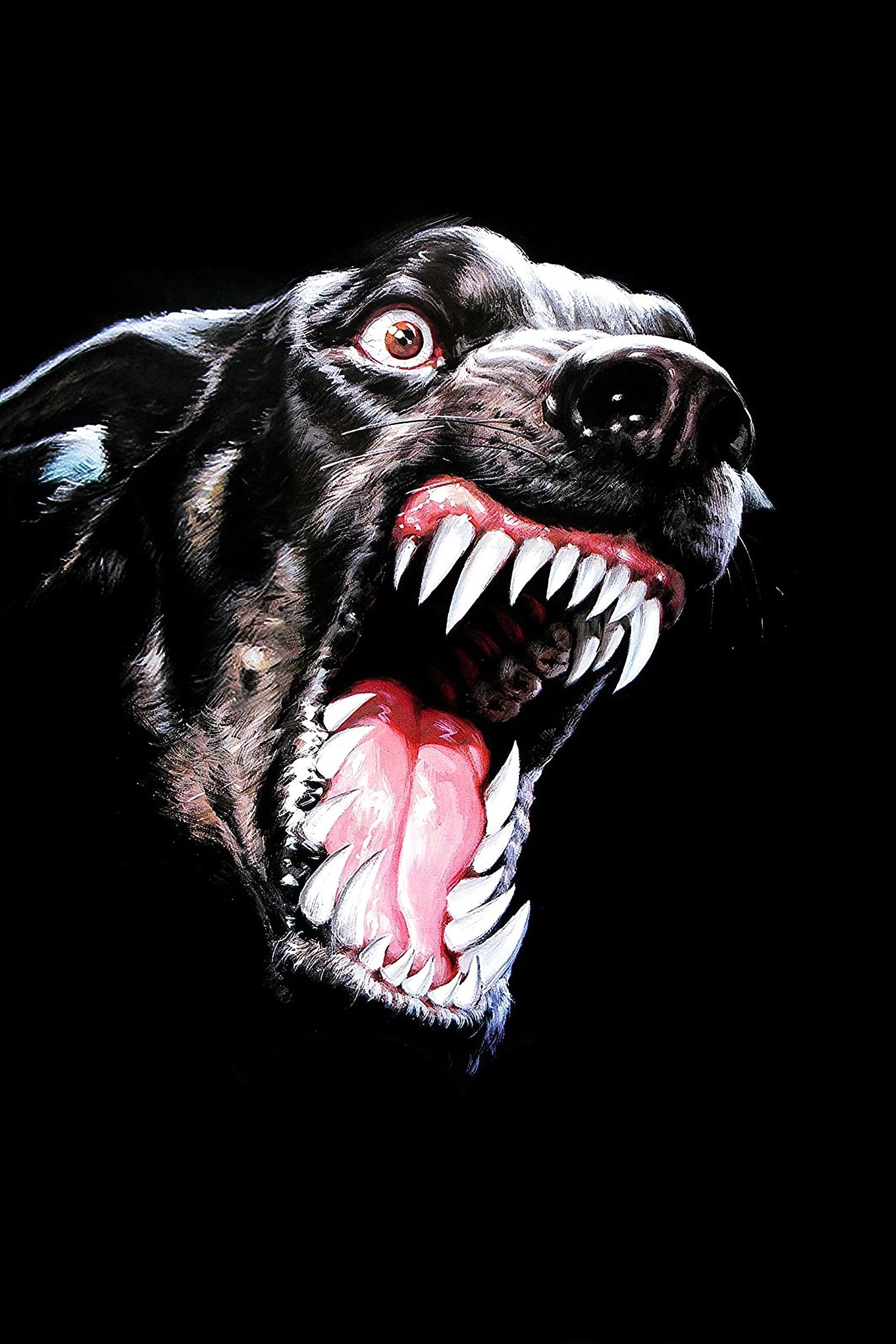 Killerhunde