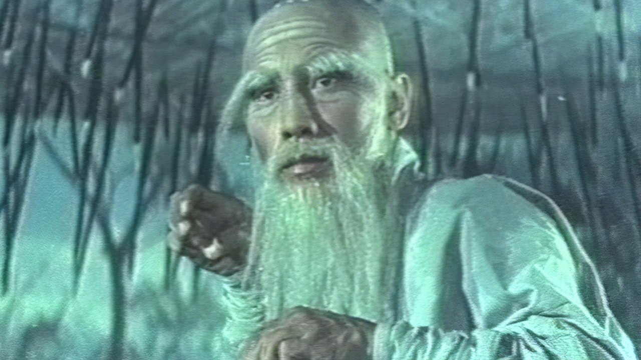 Die Schule des Shaolin
