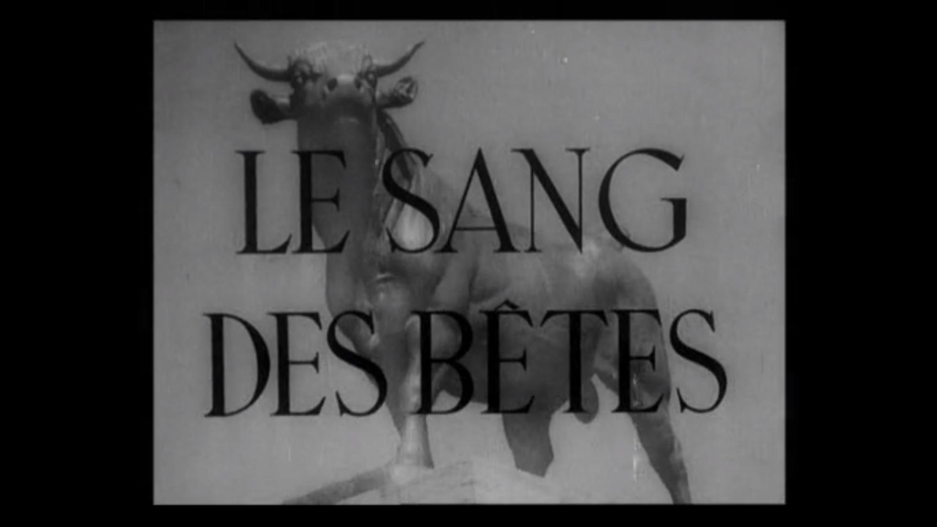 Das Blut der Tiere