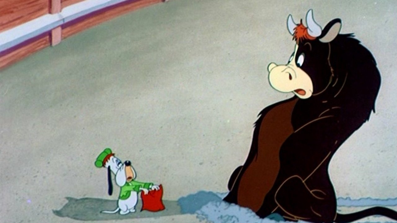 Senor Droopy