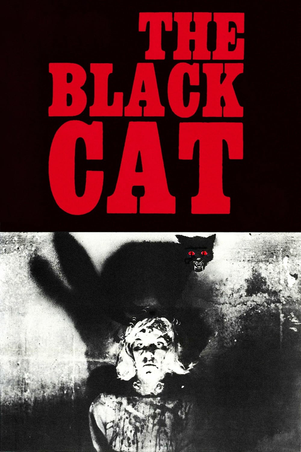 Die schwarze Katze
