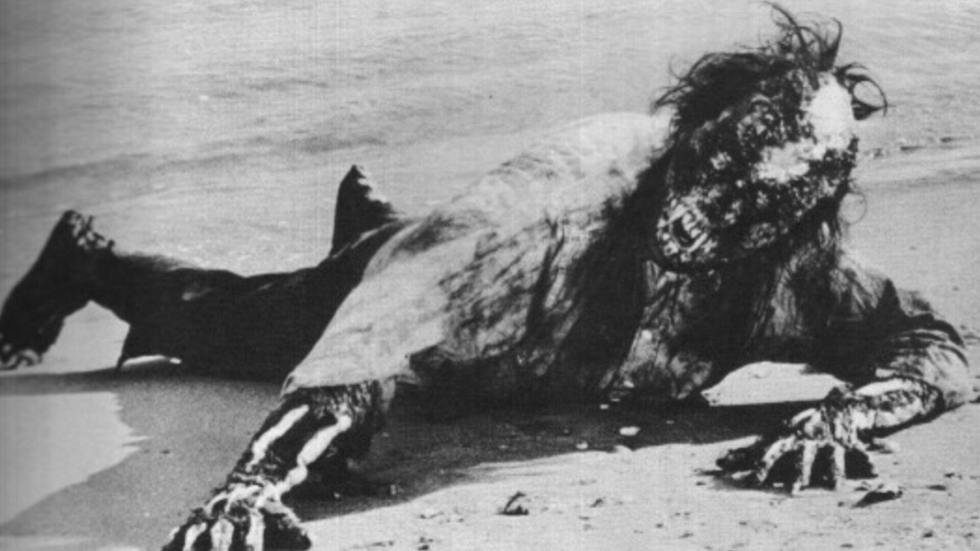 Drakapa, das Monster mit der Krallenhand