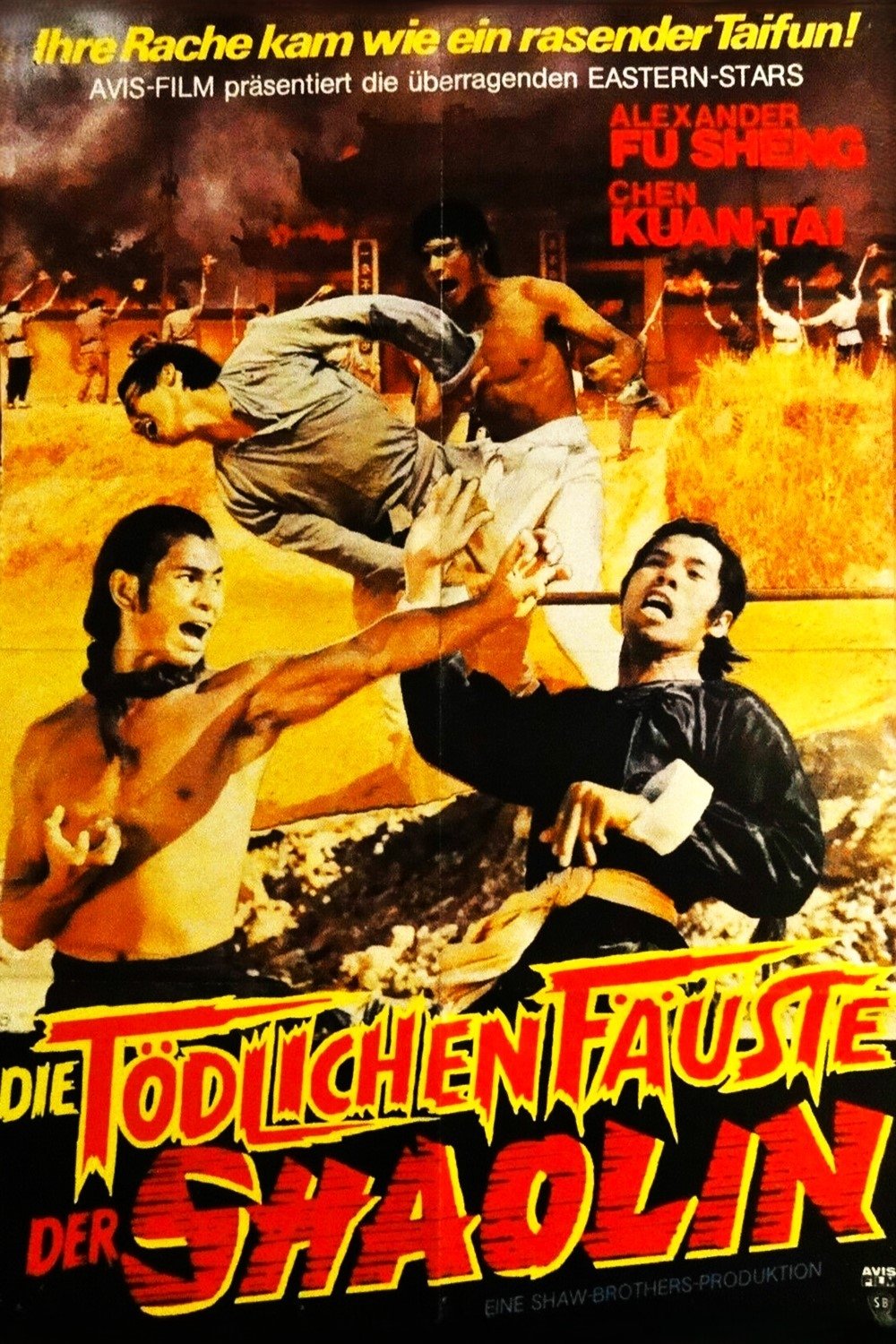 Die tödlichen Fäuste der Shaolin