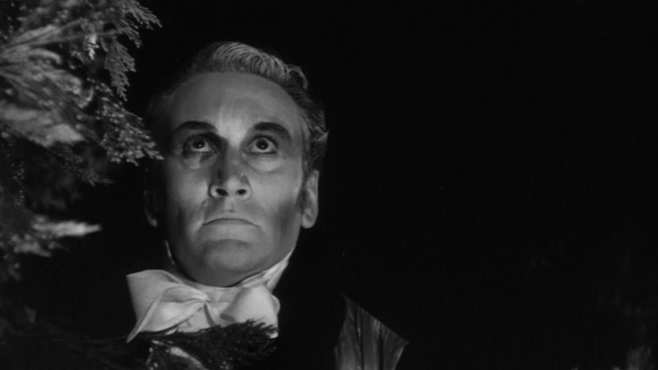 Die Rache des Vampirs