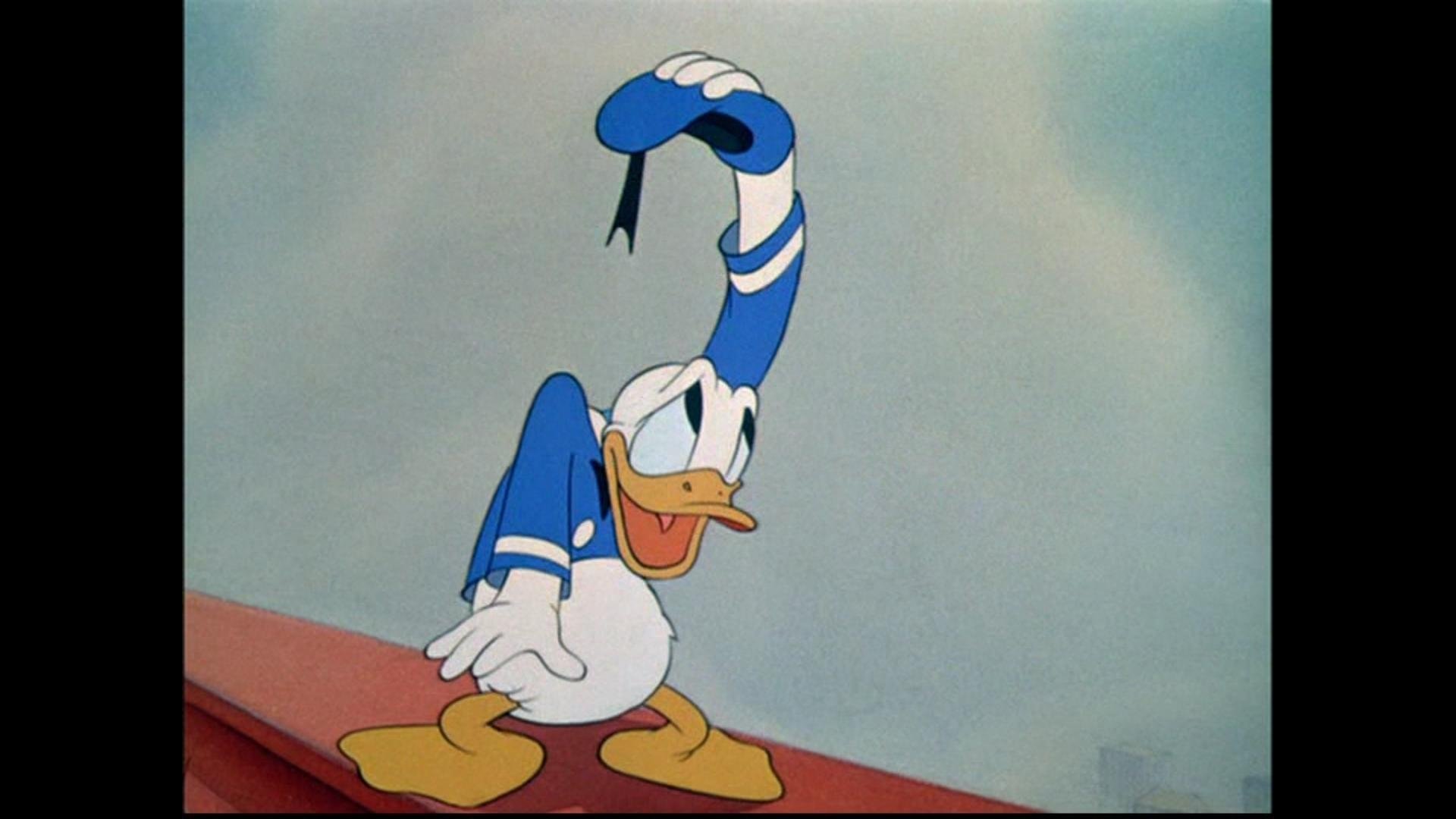 Donald auf dem Bau