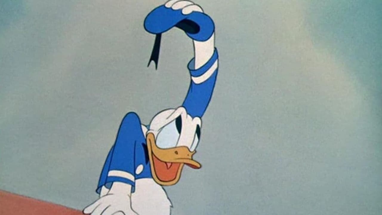 Donald auf dem Bau