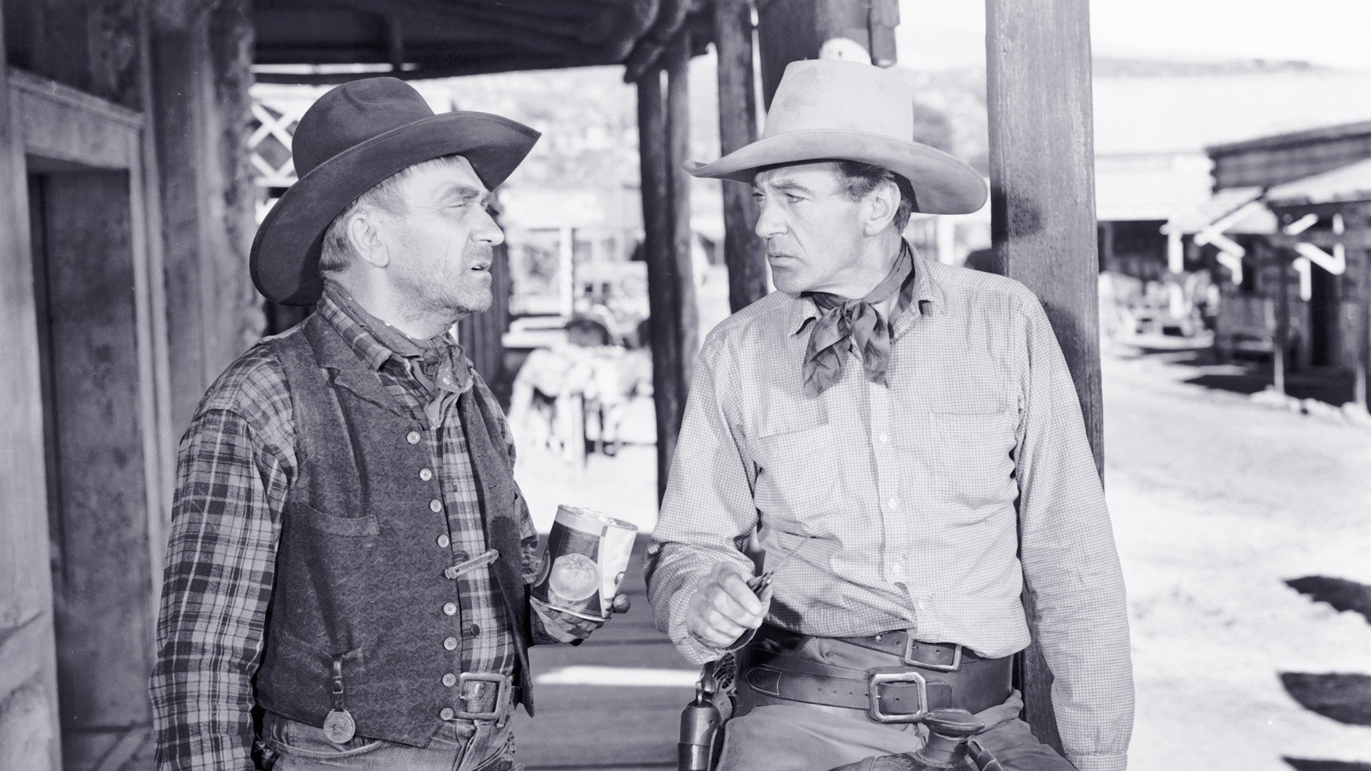 Der Vagabund von Texas