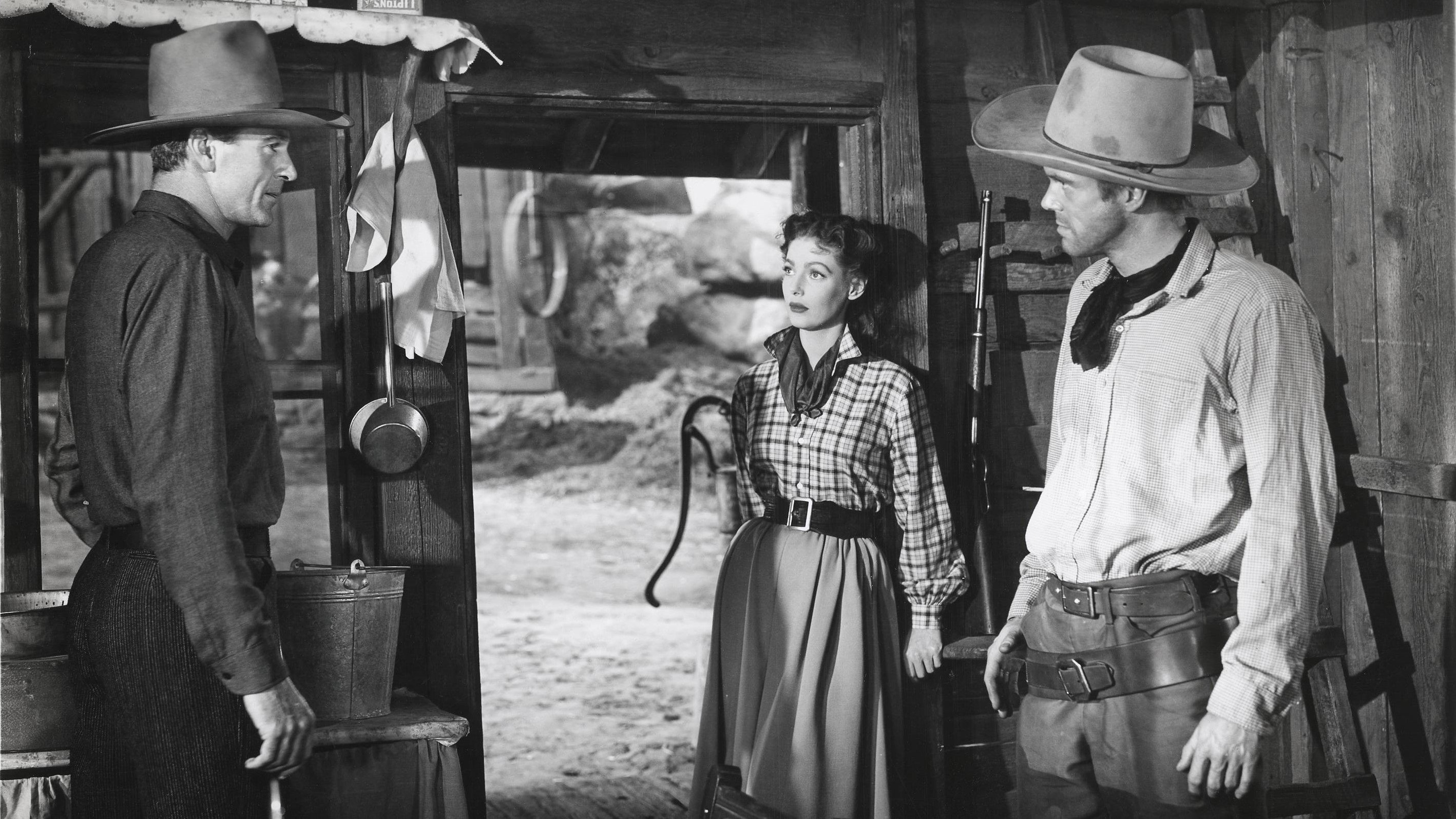 Der Vagabund von Texas