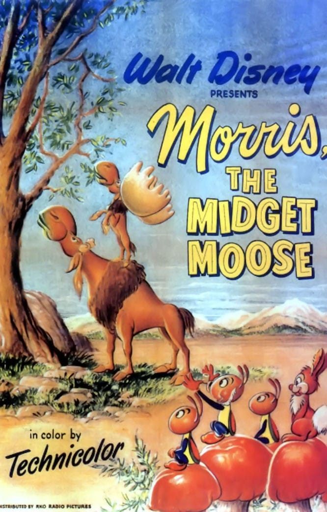 Morris, der Mini-Elch