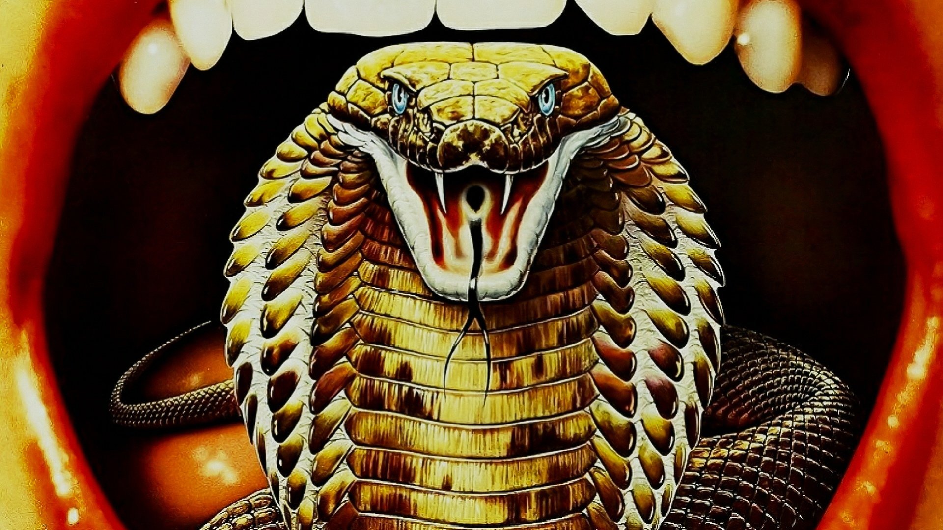 Sssssnake Kobra