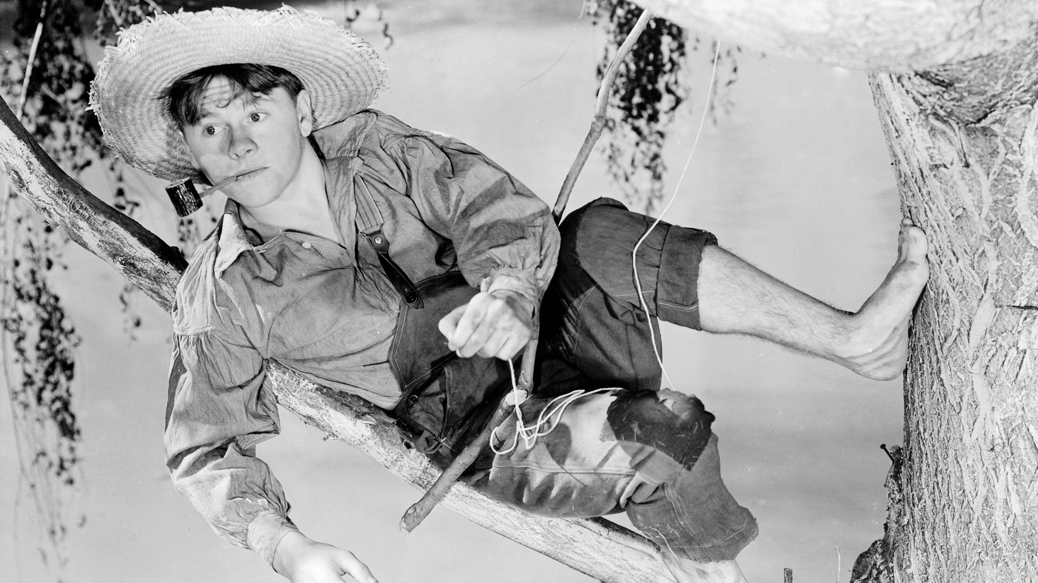 Die Abenteuer von Huck Finn