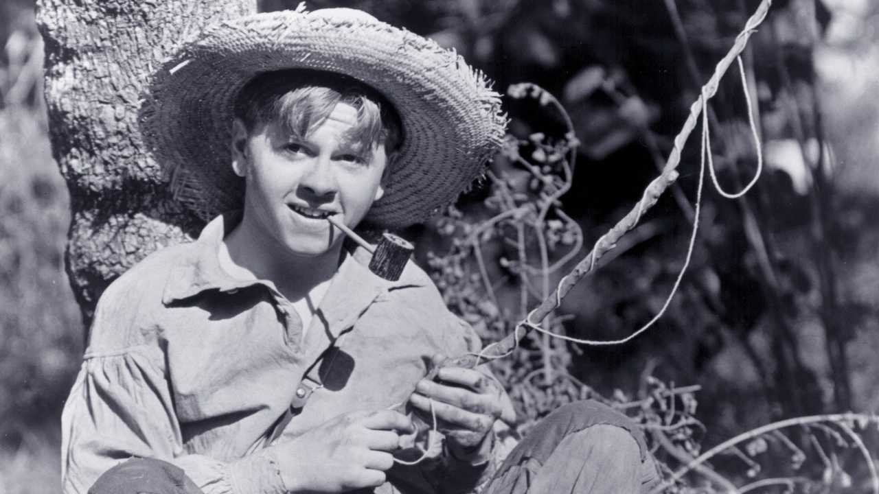 Die Abenteuer von Huck Finn