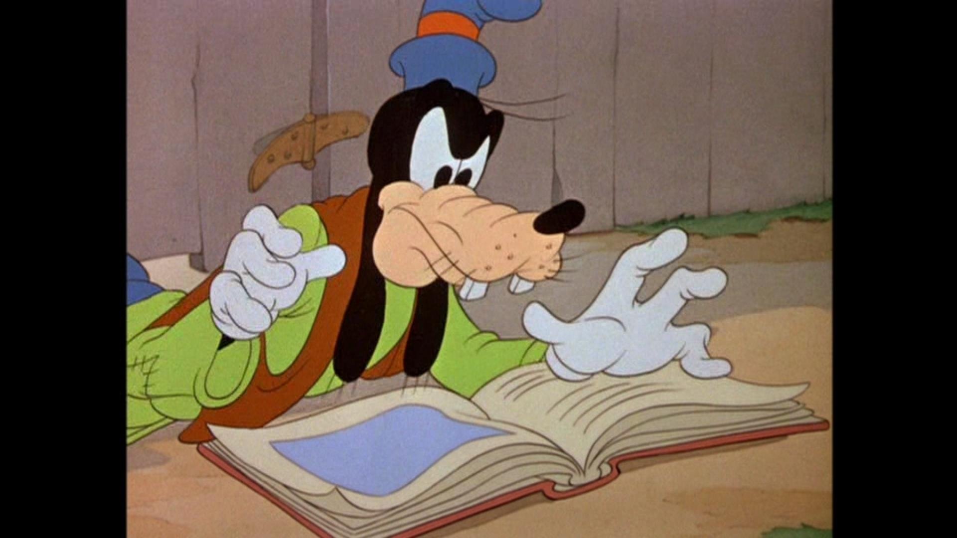 Goofy's Segelflugzeug