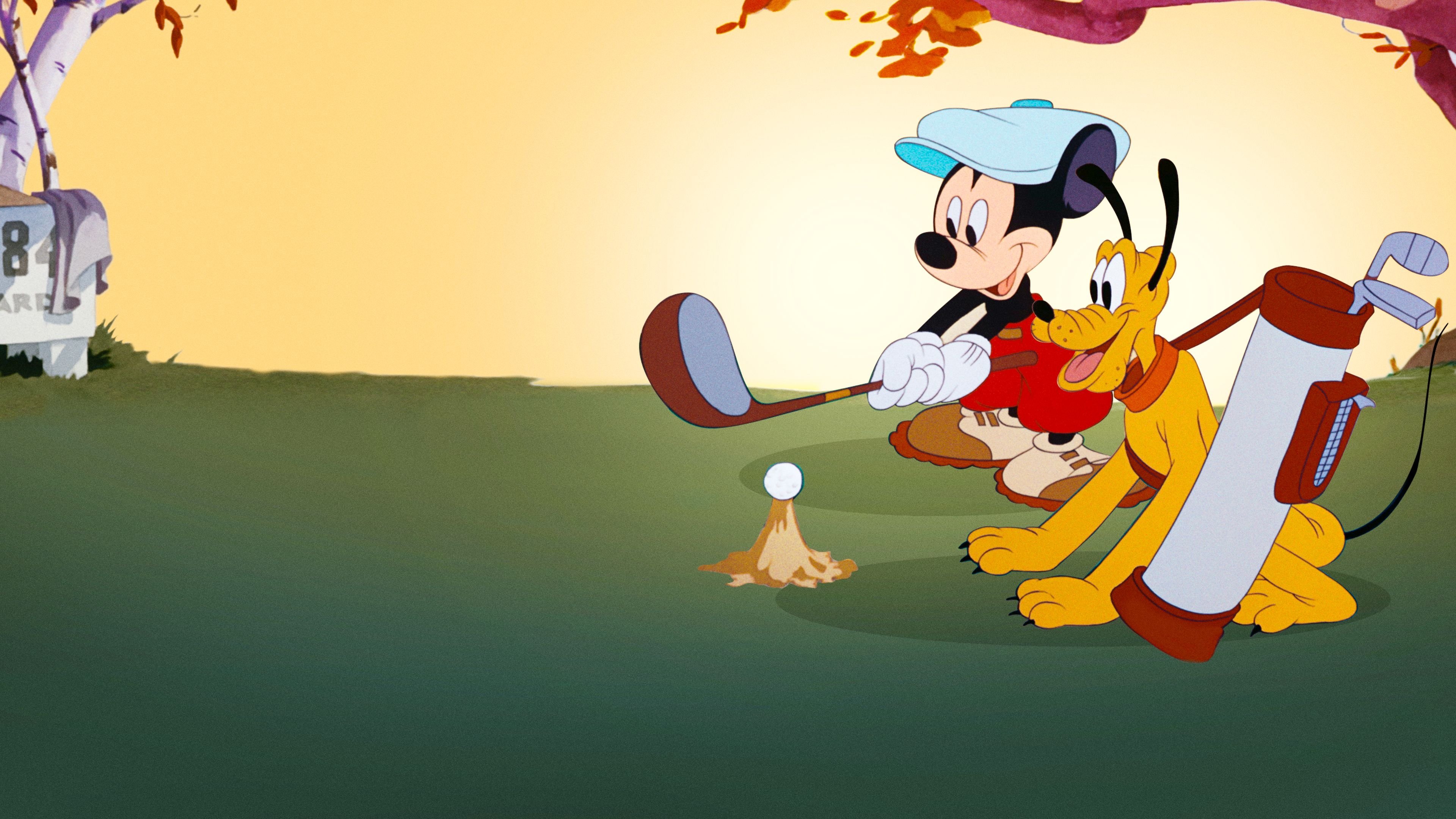 Pluto der Caddie