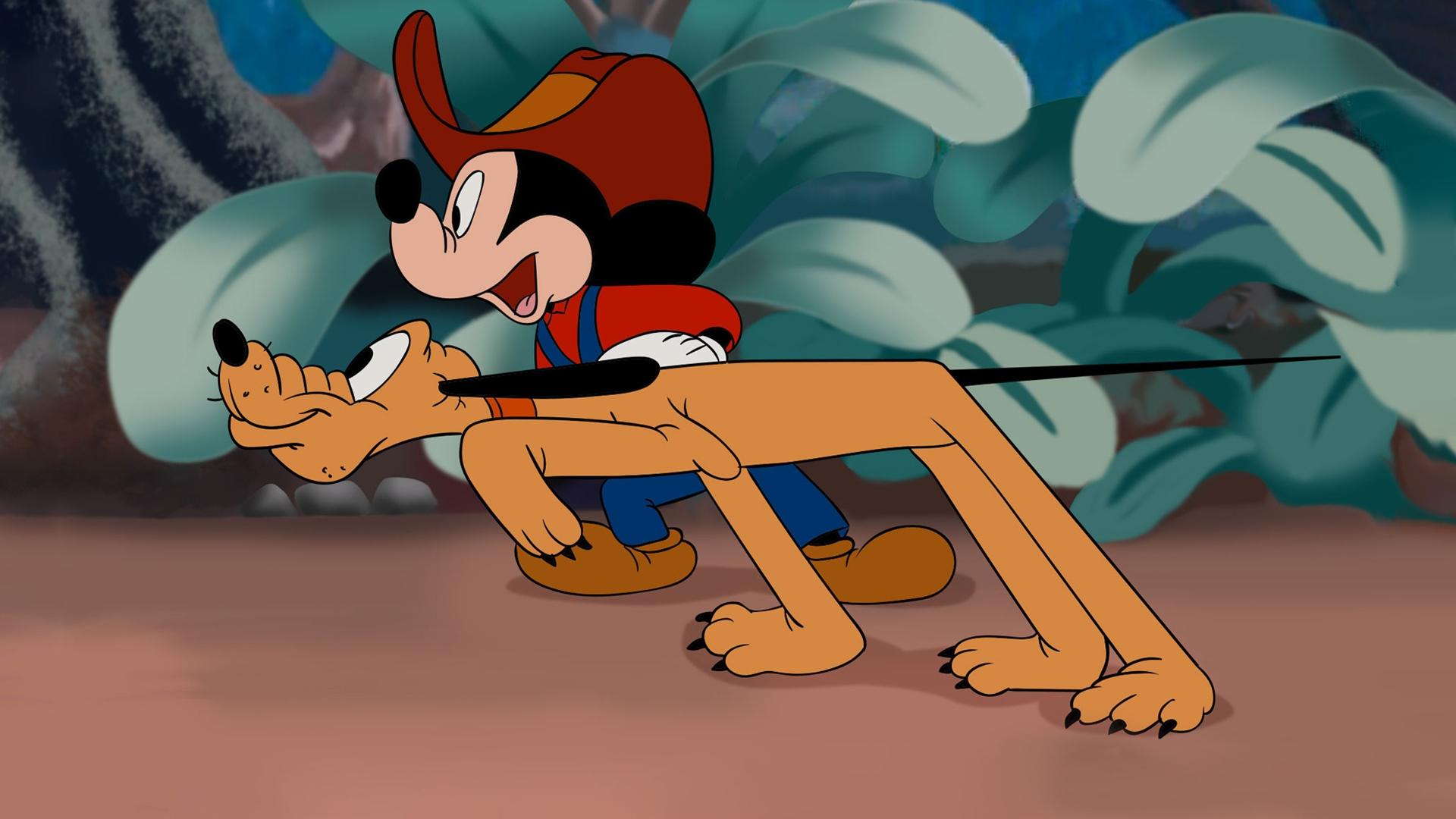 Micky in Australien