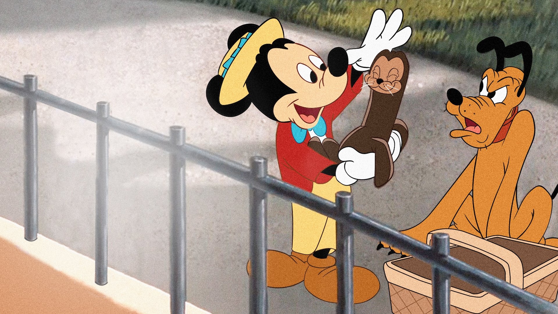 Micky und der Seehund
