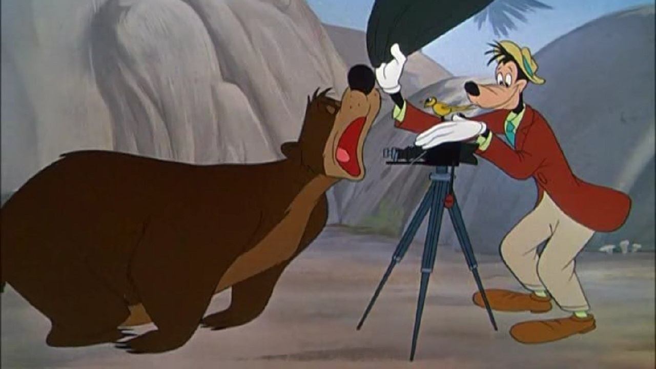 Goofy's Fotos