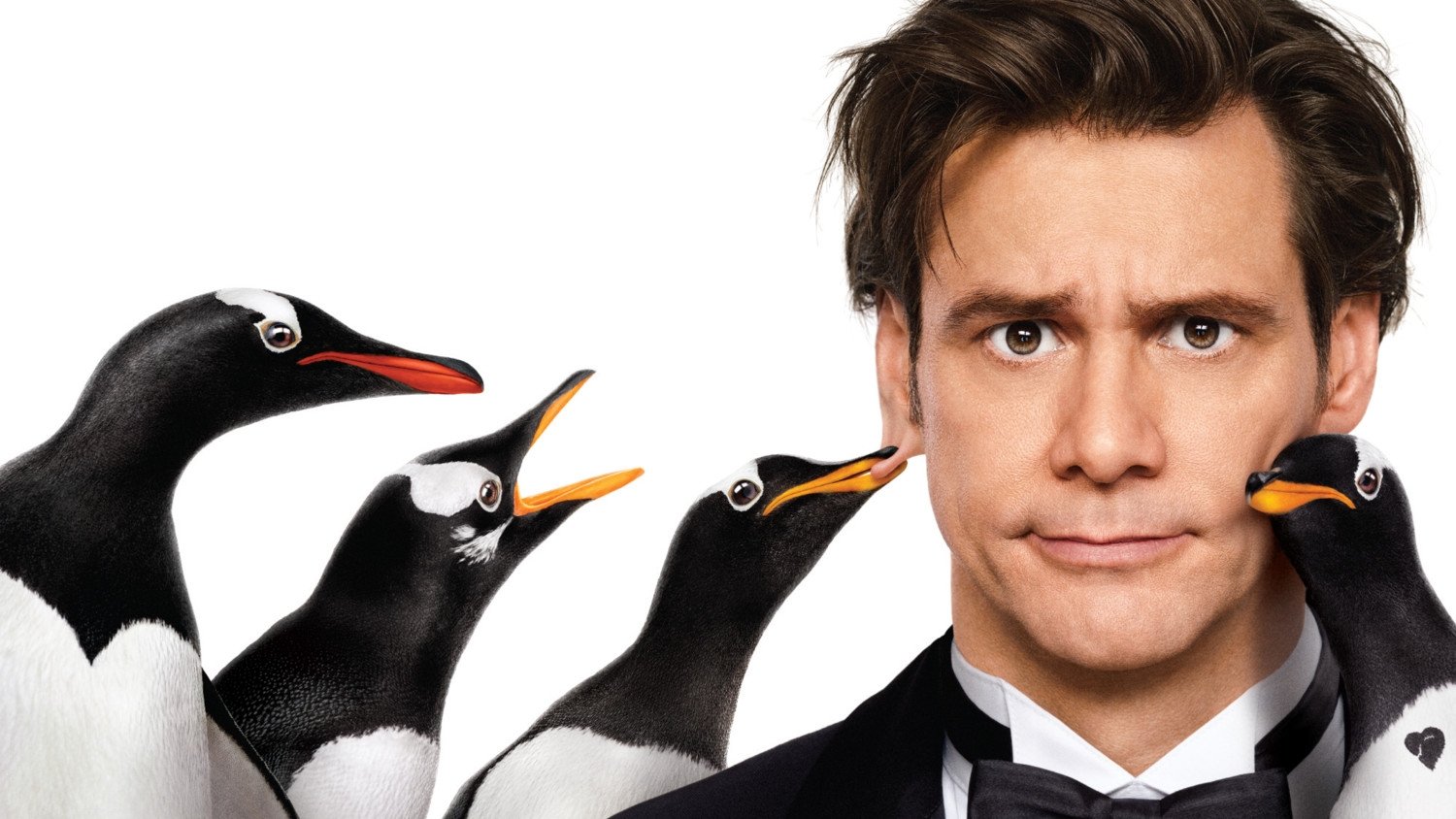Mr. Poppers Pinguine