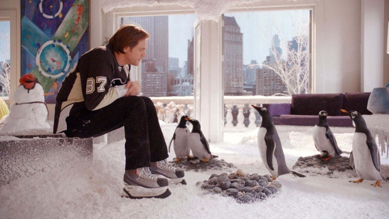 Mr. Poppers Pinguine