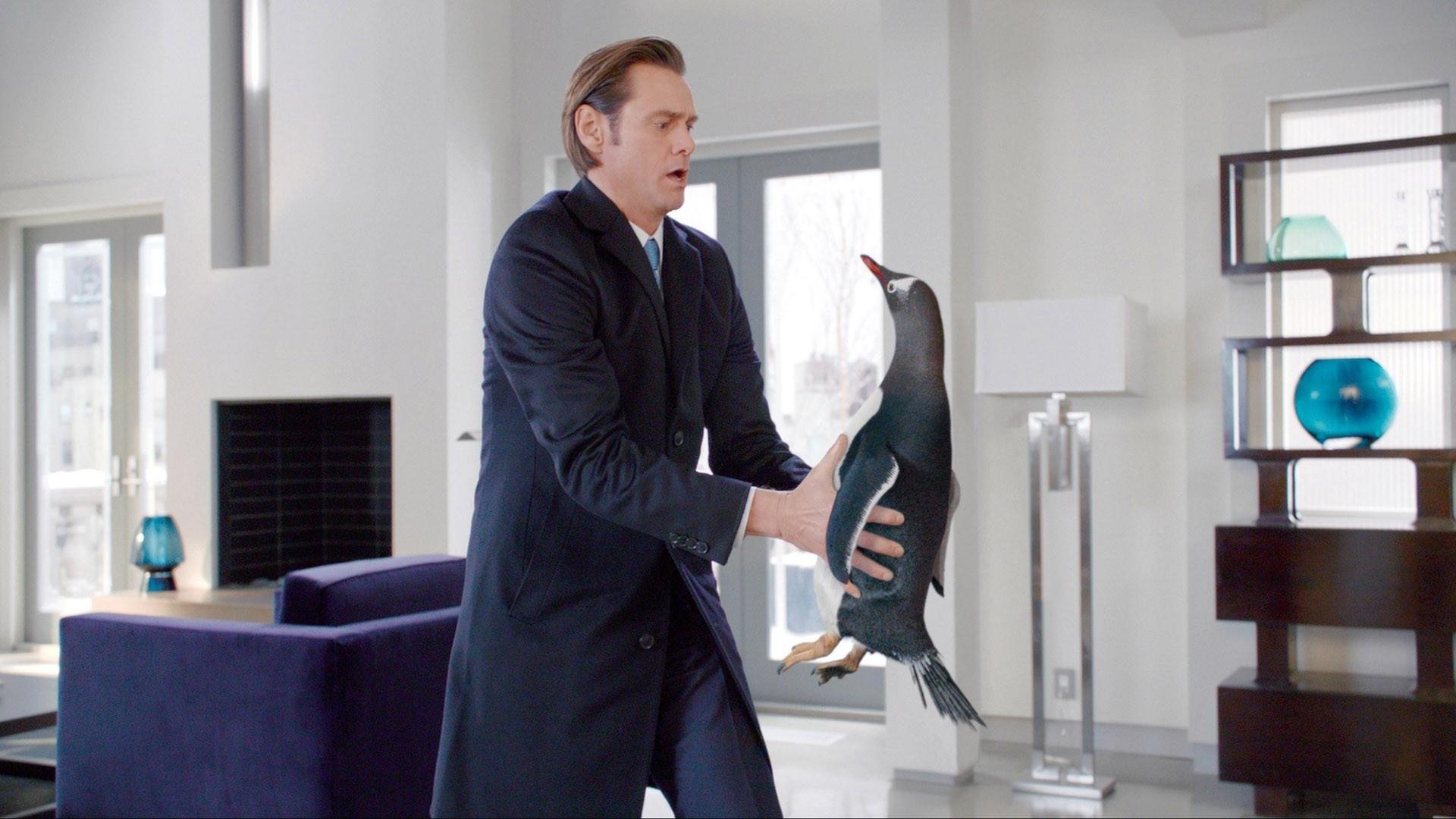 Mr. Poppers Pinguine