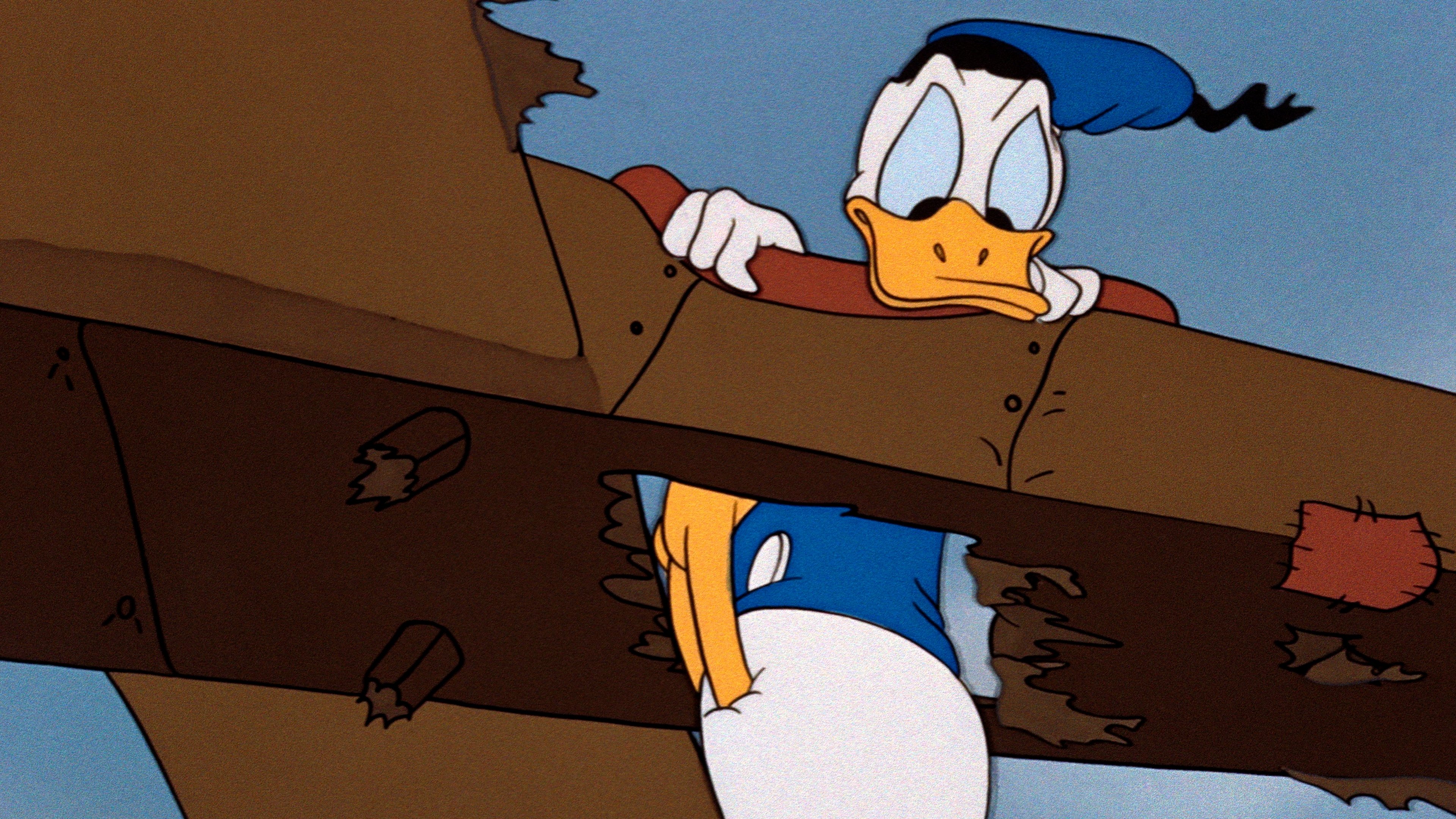 Der tollkühne Donald in seiner fliegenden Kiste