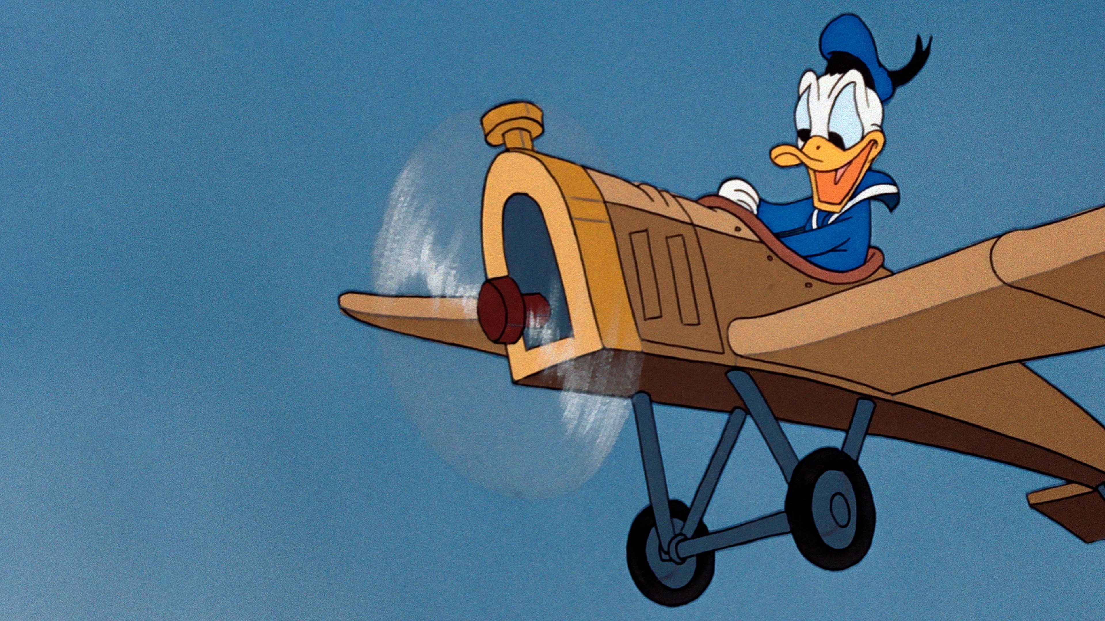 Der tollkühne Donald in seiner fliegenden Kiste