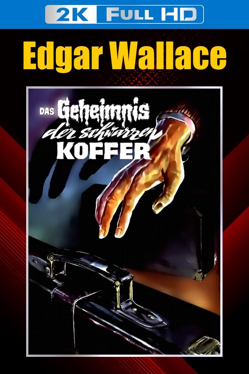 Das Geheimnis der schwarzen Koffer