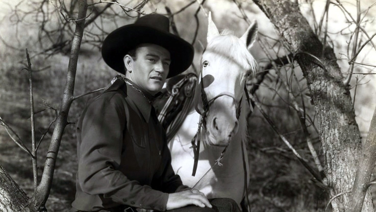 Der Rodeo-Raub