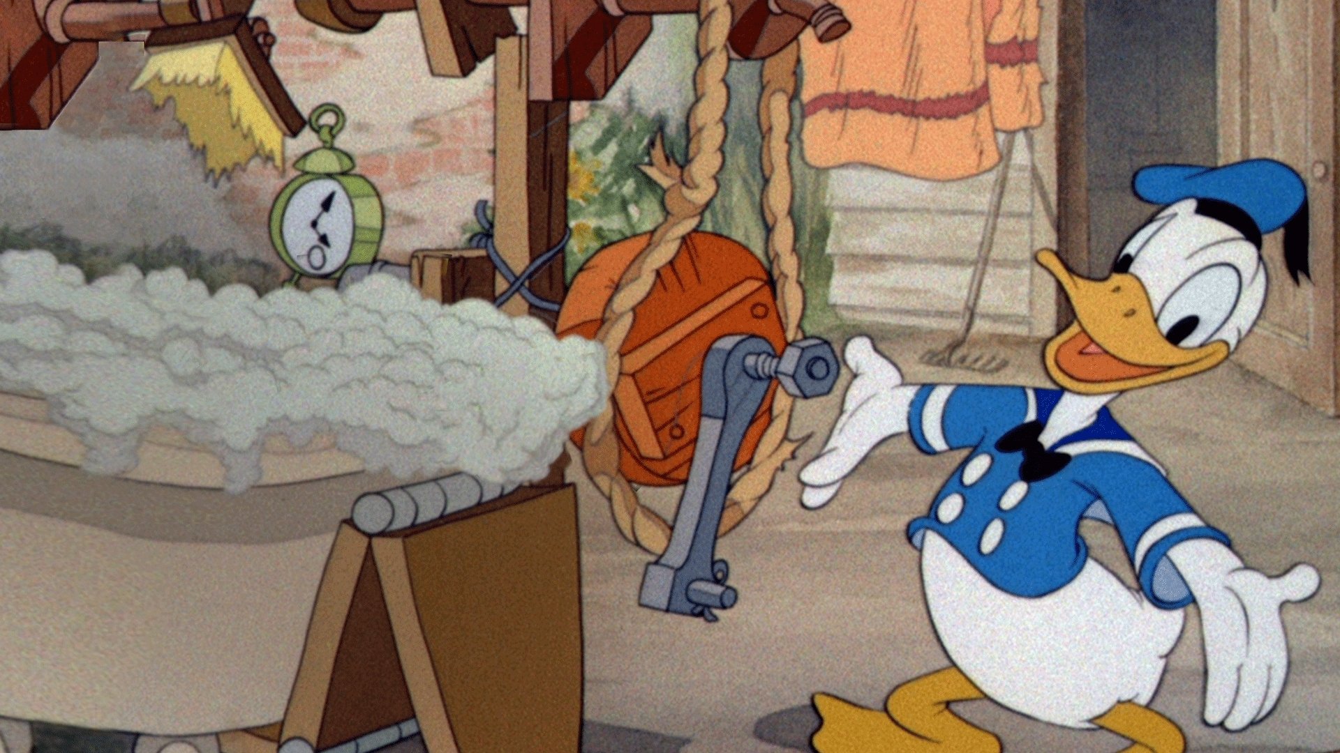 Donalds Hunde-Waschmaschine