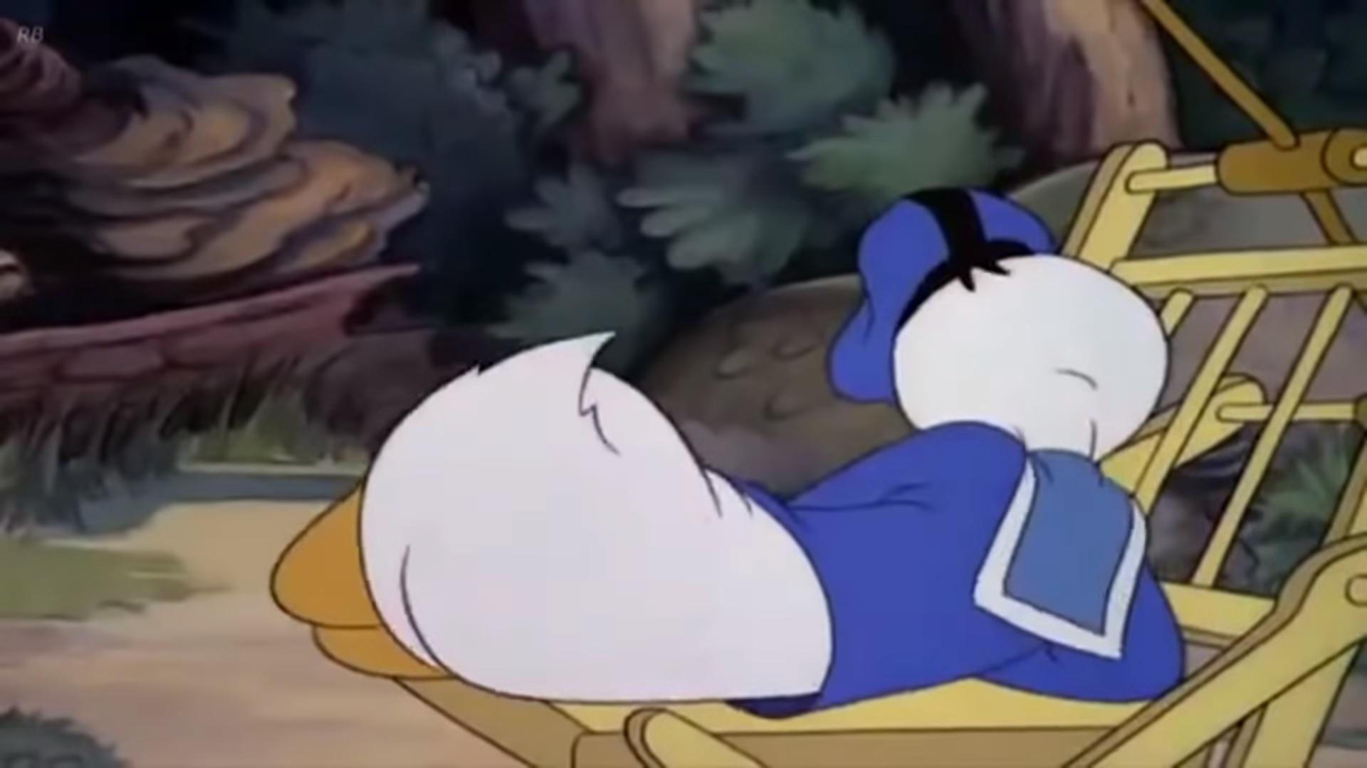 Donalds Ferien