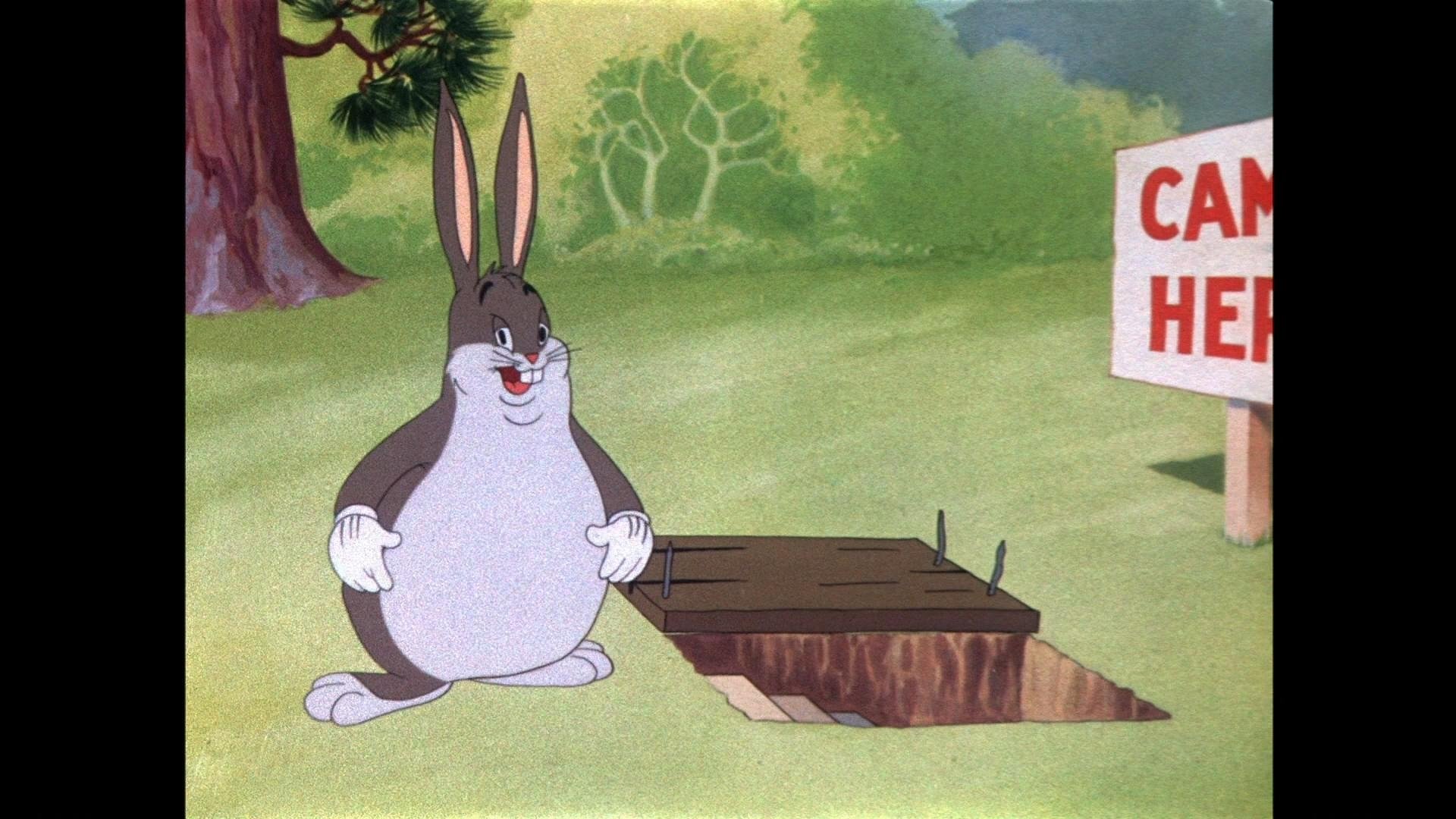 Immer Ärger mit dem Hasen