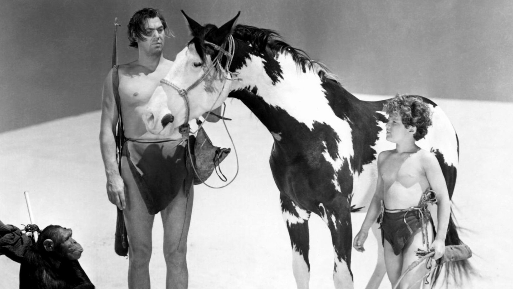 Tarzan, Bezwinger der Wüste