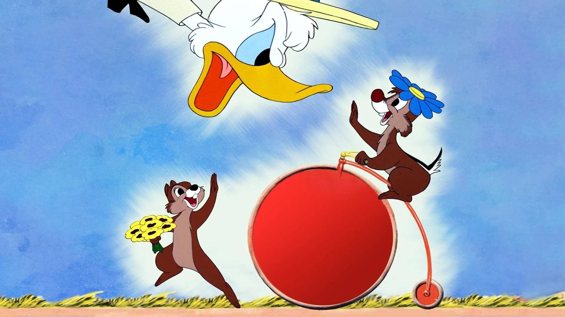 Verrückt nach Daisy