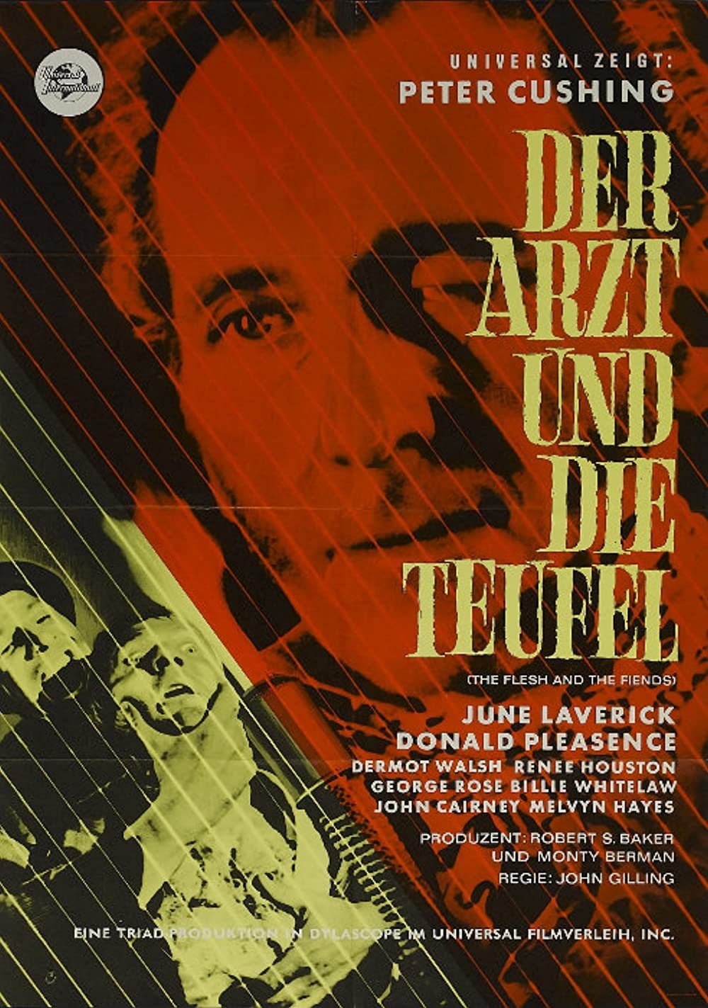 Der Arzt und die Teufel