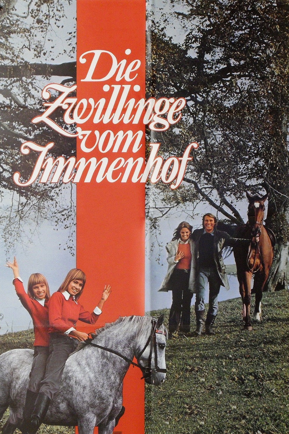 Die Zwillinge vom Immenhof