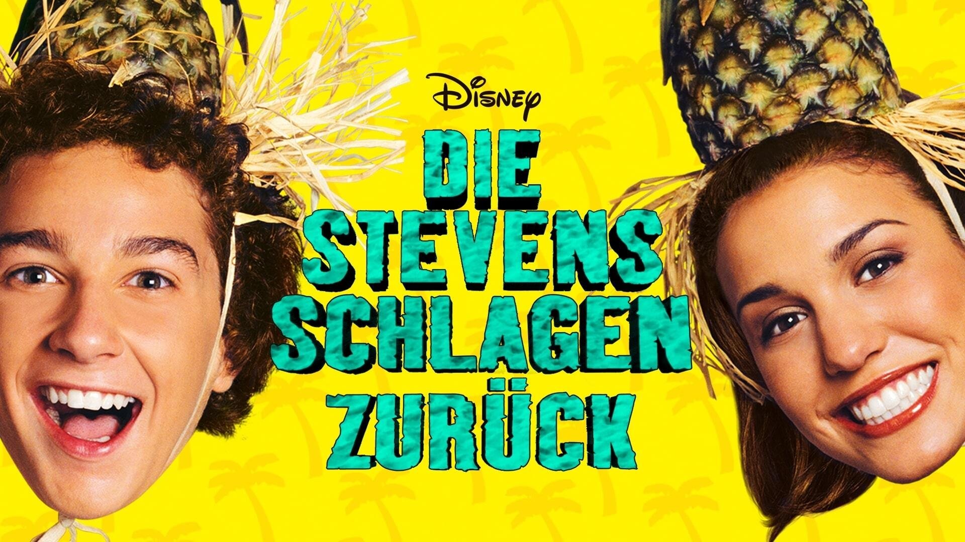 Die Stevens schlagen zurück