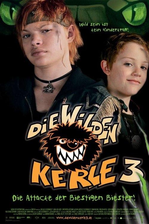 Die Wilden Kerle 3