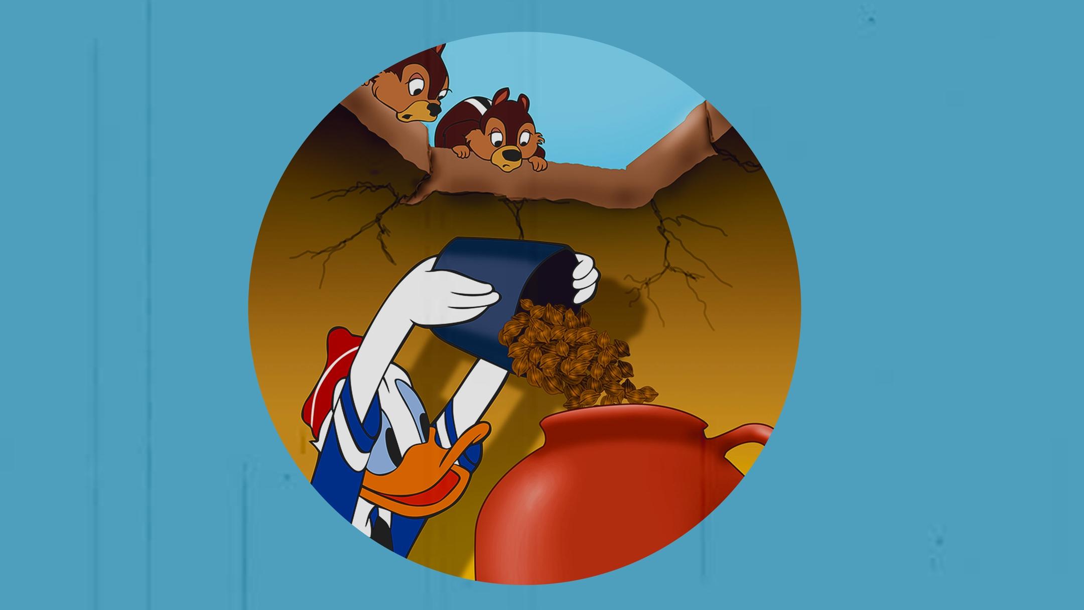 Donald und die Riesennuss