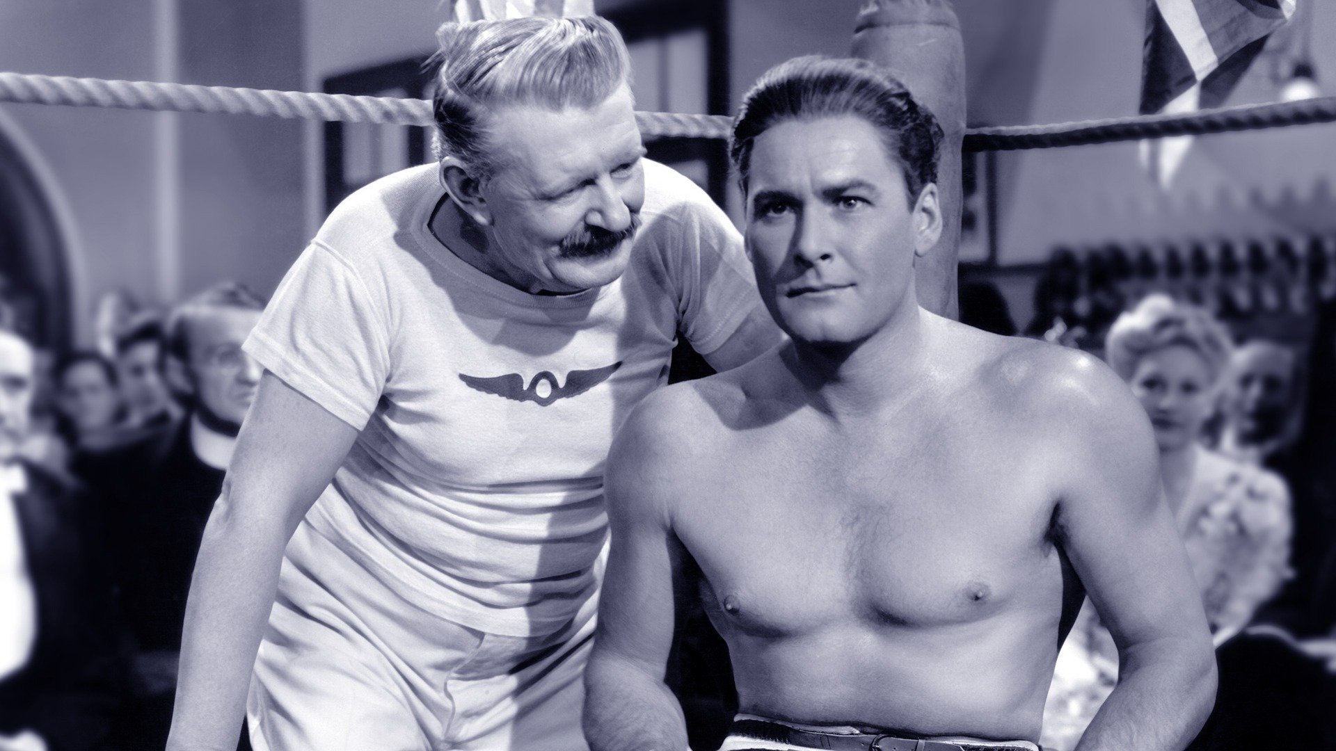 Der freche Kavalier