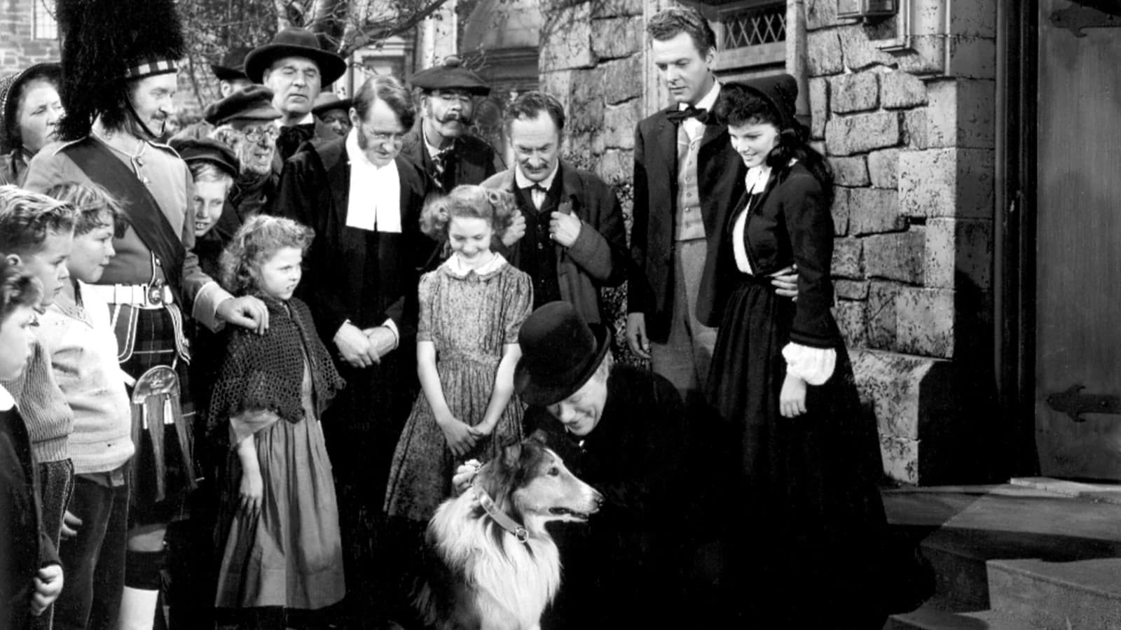 Lassie in Not