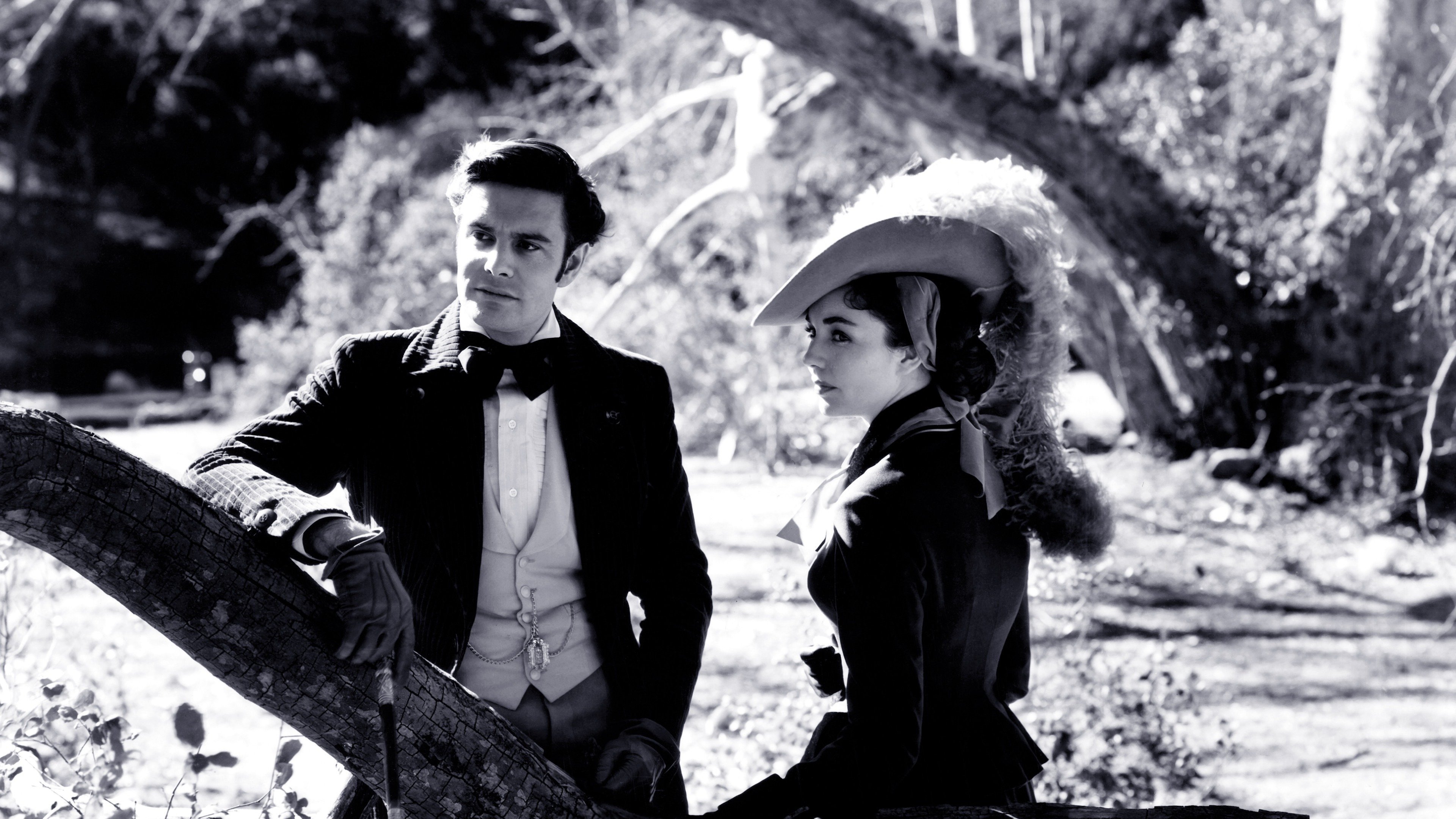 Madame Bovary und ihre Liebhaber