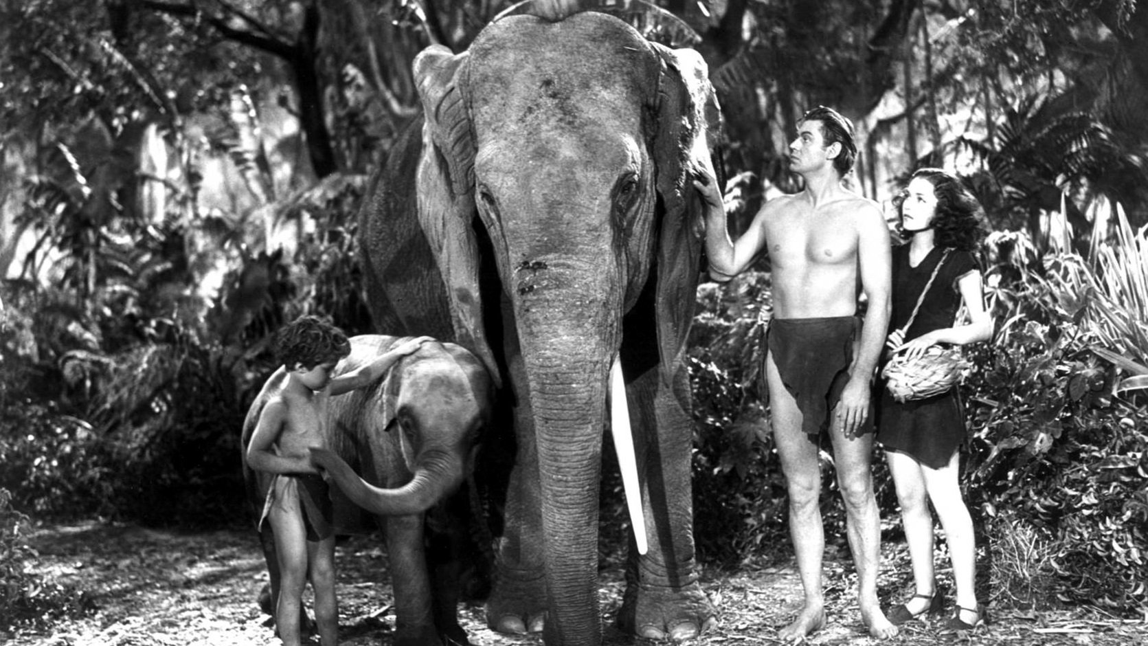 Tarzan und sein Sohn