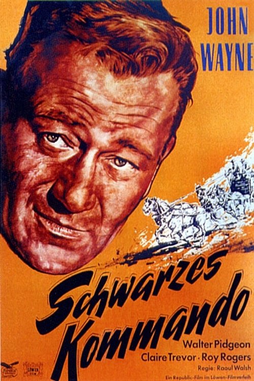Schwarzes Kommando