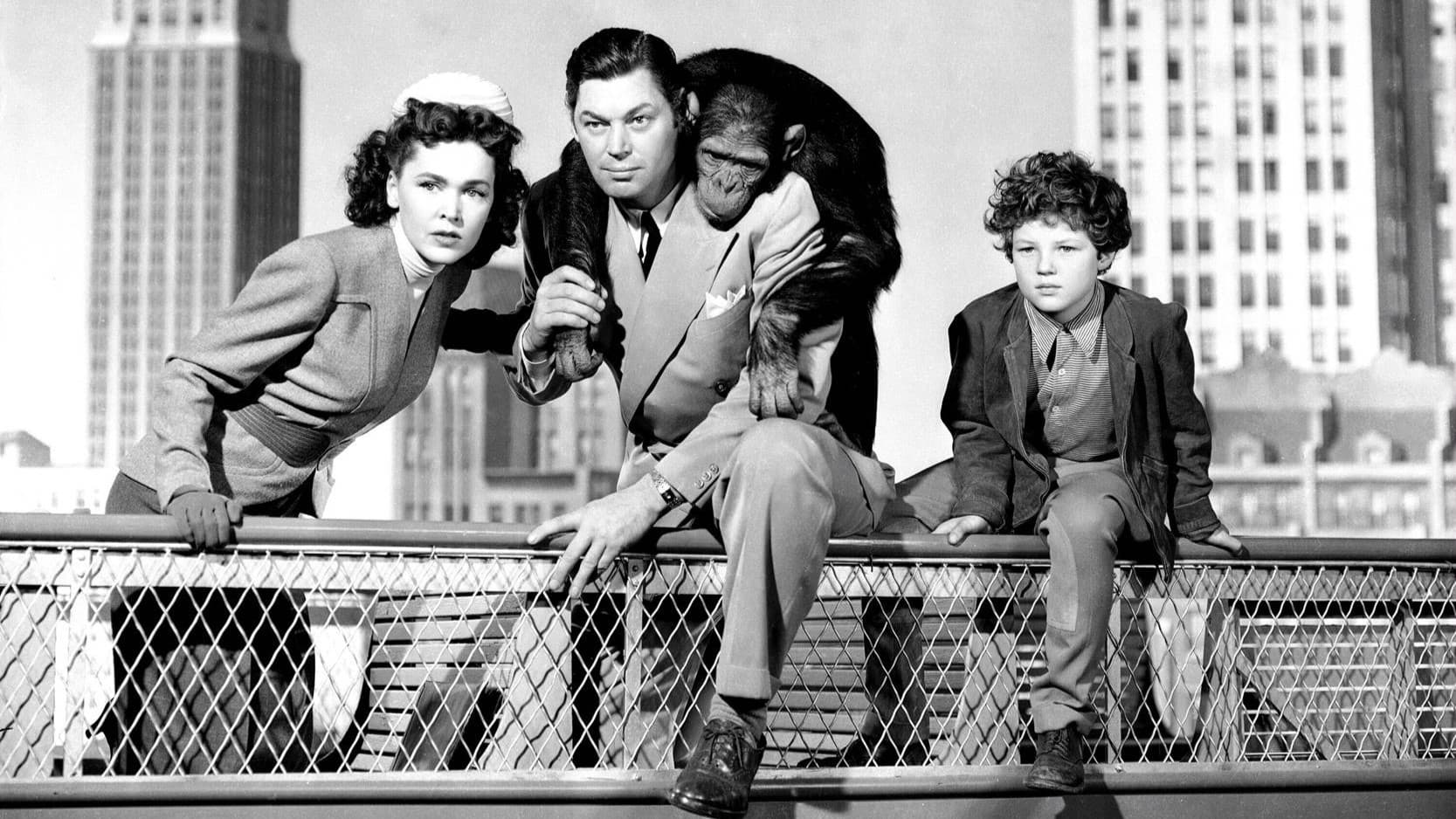 Tarzans Abenteuer in New York