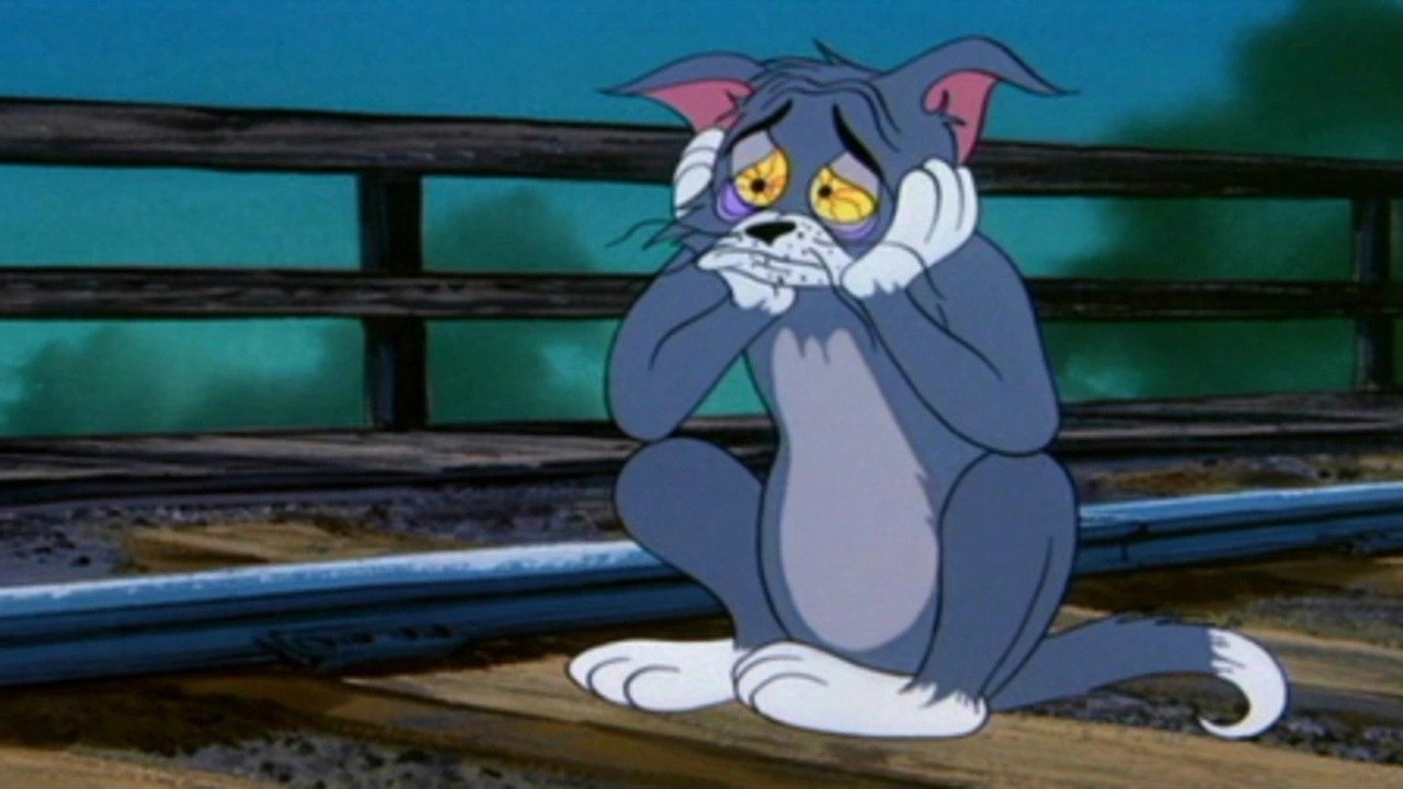Dreimal armer, schwarzer Kater