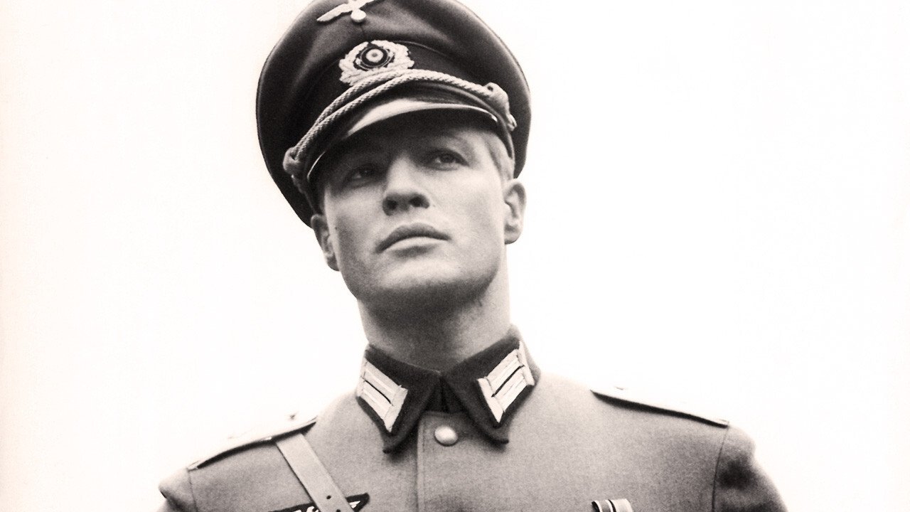 Die jungen Löwen